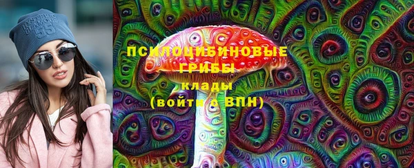 шишки Баксан