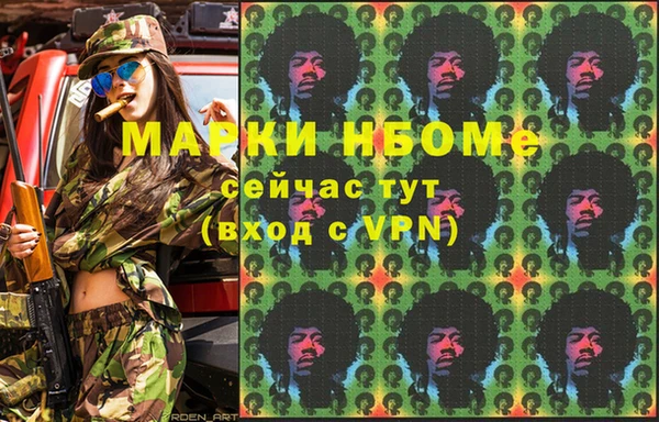 шишки Баксан